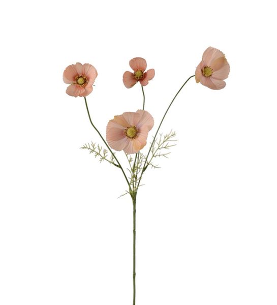 Mr Plant Pyntekorg Aprikos