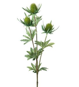 Hovedbilde Mr Plant Tistel